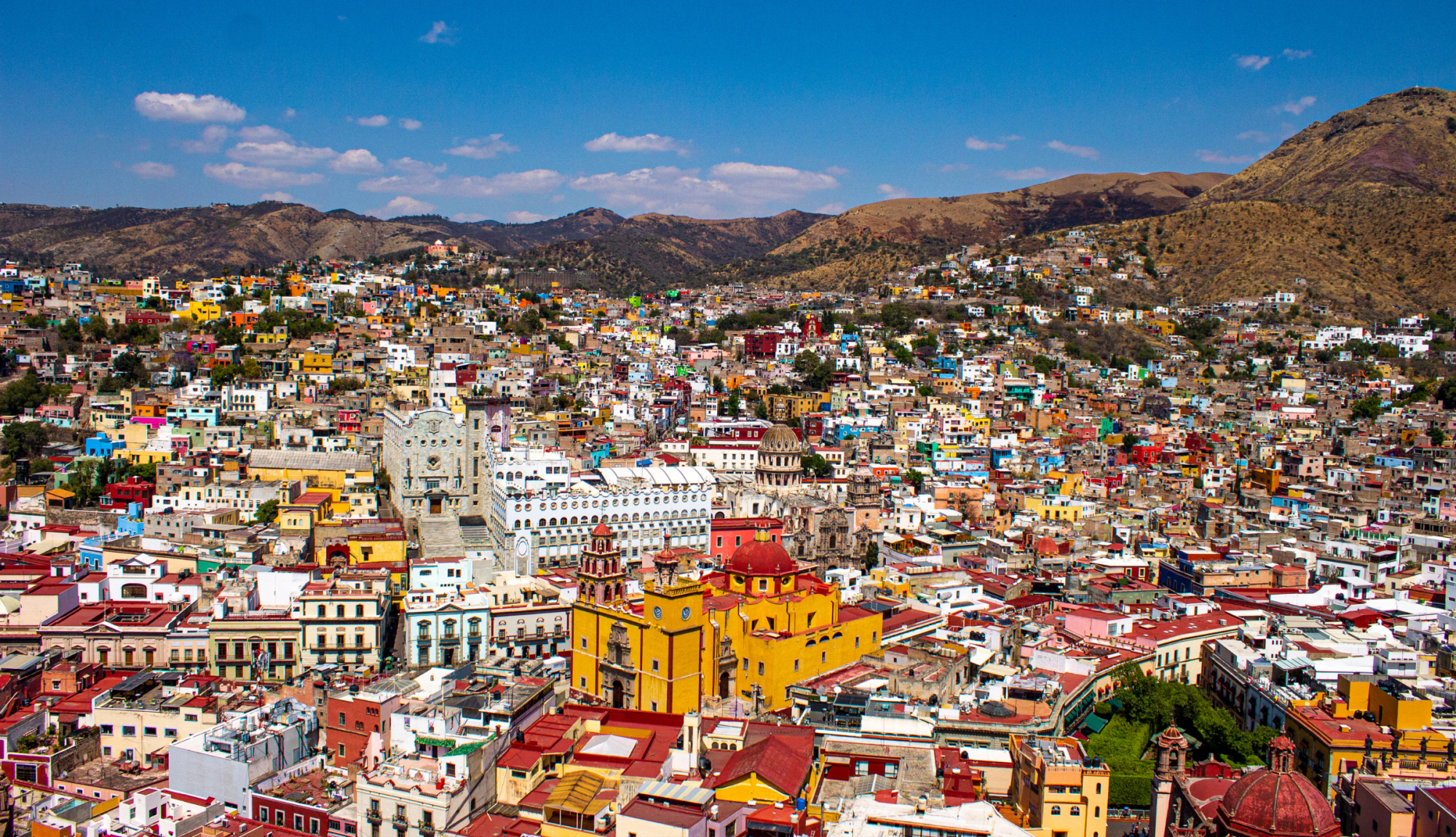Mexican buyers prioritize long-term partnerships that address key operational challenges.
